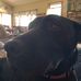 Profile Picture of Amy Hegeman (@amy.hegeman.1) on Facebook