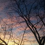 Profile Picture of Alex (@alexbussey1) on Instagram