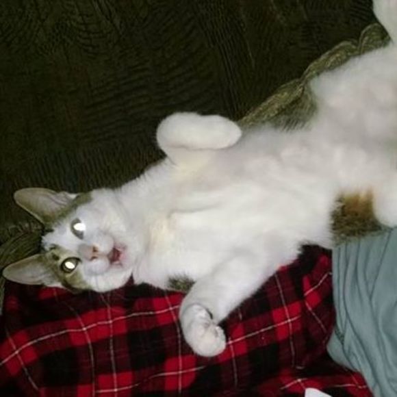 Profile Picture of Heather Reamon (@heatherreamon) on Poshmark