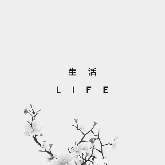 Nour Shueibi - Poshmark Profile Picture of Nour Shueibi (@duhh_itznour) on Poshmark