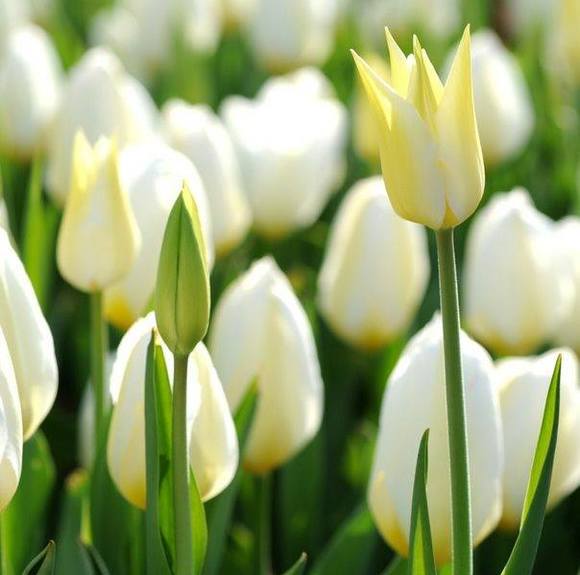 Anelle Arcar - Poshmark Profile Picture of Anelle Arcar (@anellearcar) on Poshmark