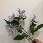 Profile Picture of 플레르플리/꽃비가내리는날 청주꽃집 (@fleurpluie_flower) on Instagram