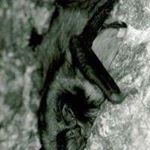 Profile Picture of Nancy Drexel (@drexelnancy) on Instagram