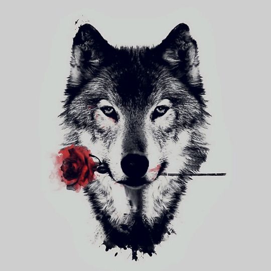 Profile Picture of dylanrisley948 (@dylanrisley948) on Tiktok