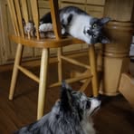 Profile Picture of Virginia L. Richards (@virginia.l.richards.2025) on Facebook