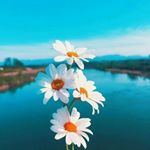 Profile Picture of Heba Abdullah (@heba_abdullah91) on Instagram