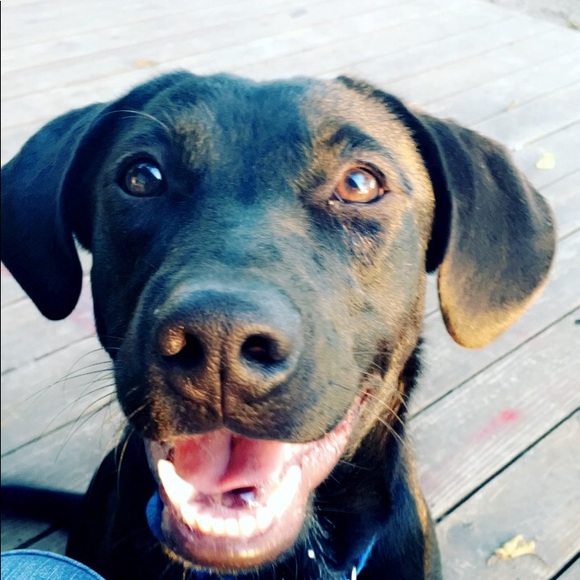 Profile Picture of Britney Wilkinson (@bmwilknson17) on Poshmark