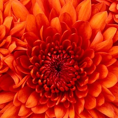 Profile Picture of David Werning (@WerningDavid) on Twitter