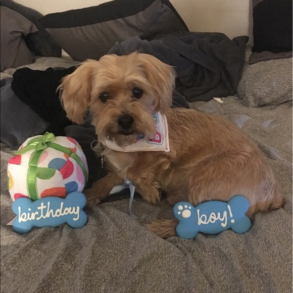 Profile Picture of Robin Romanelli (@r_o_b_i_n112985) on Poshmark