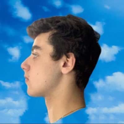 Profile Picture of Matthew Falk (@Mattlax4) on Twitter