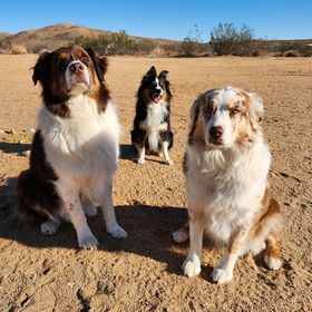 Profile Picture of CC Chung (@camillachung) on Pinterest