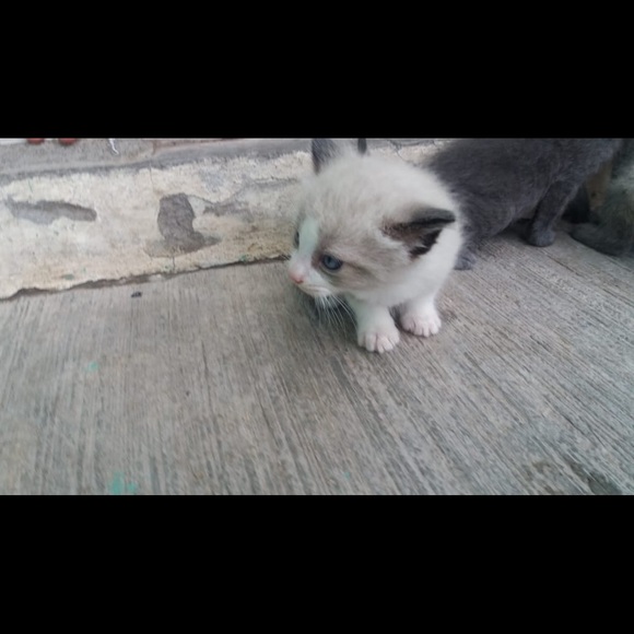 Maria Araceli - Poshmark Profile Picture of Maria Araceli (@maria_araceli) on Poshmark