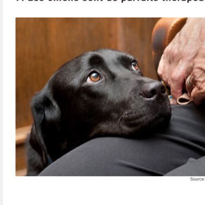 Profile Picture of Steve Potvin (@stevepotvin4) on Twitter