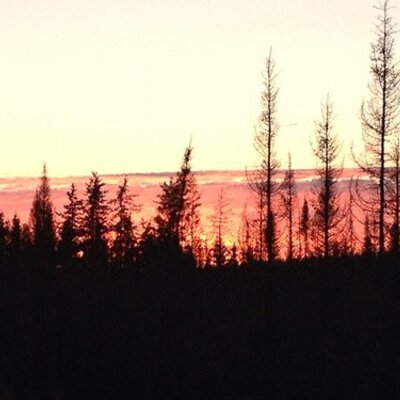 Profile Picture of Ouellette Francois (@fR1ou) on Twitter