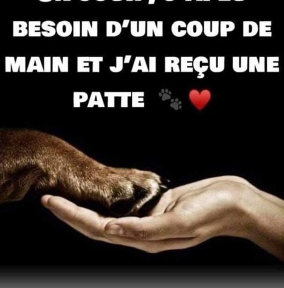 Profile Picture of Guylaine Savard (@guylaineshanna) on Poshmark