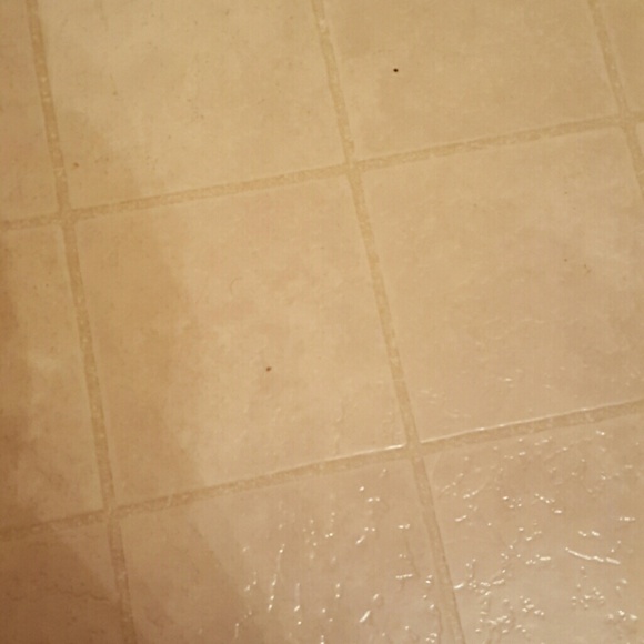 Profile Picture of April Almonte (@aprilaca) on Poshmark