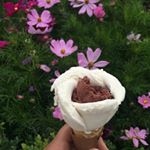 Profile Picture of Dr. Noora Ahmed (@dr_noora_alhammadi) on Instagram