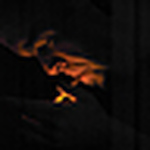 Seth Newman - Flickr Profile Picture of Seth Newman (@FLASH FOTOG) on Flickr