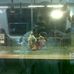 Profile Picture of Siddharth Sinha (@siddharth.sinha.545) on Facebook