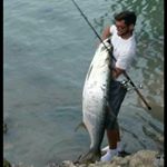 Profile Picture of Captain Ariel (@_i_be__legendary) on Instagram