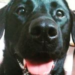 Profile Picture of ebony andrews (@ebonyann2) on Instagram