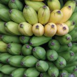 Profile Picture of Anton Tkachenko (@brymza) on Instagram