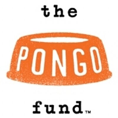 Profile Picture of The Pongo Fund (@ThePongoFund) on Twitter