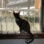 Profile Picture of たかい  まり (@mu_gi_422) on Instagram