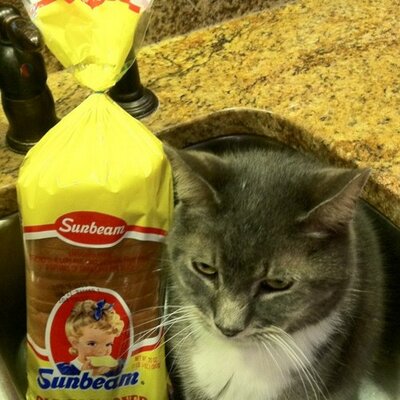Profile Picture of Sgt Frank Hulka (@PackMule084) on Twitter