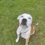 Profile Picture of Marlin Hudson Jason (@Marlin-Hudson-Jason) on Facebook