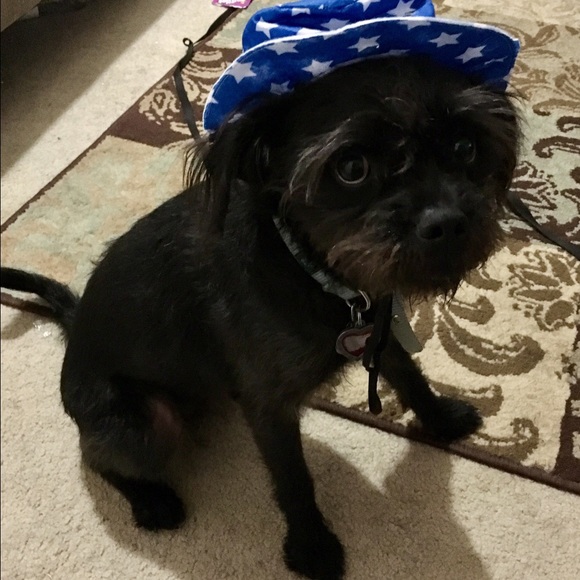 Profile Picture of Anna Chasco (@annabatenhorst) on Poshmark