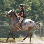 Profile Picture of 𝐒𝐩𝐞𝐧𝐜𝐞𝐫 𝐂𝐮𝐫𝐭𝐢𝐬 (@equestrianspencer) on Instagram