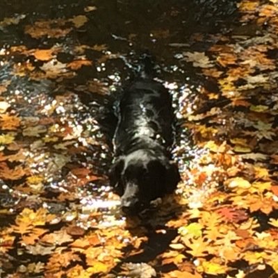 Profile Picture of Dawn McGuire (@dawnmcguire16) on Twitter