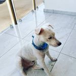 Profile Picture of cody (@cody_ramirez.01) on Instagram