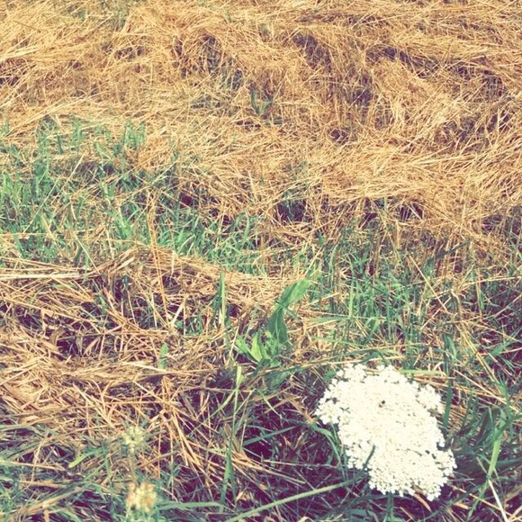 Profile Picture of Anne Fitzpatrick (@annefitz12) on Poshmark