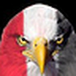 Profile Picture of Ahmed Diab (@تفانين) on Flickr