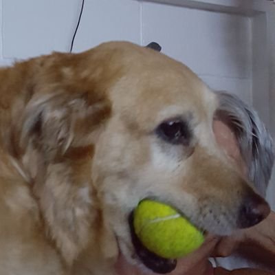 Profile Picture of Joe Kepler (@joeKepler1) on Twitter