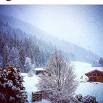 Profile Picture of Jamie/unPeuRoux/trèsCon (@rouxbeef__jr) on Instagram