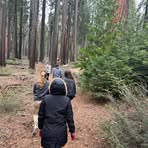 Profile Picture of Laura M Wells (@lmwells14) on Facebook