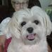 Profile Picture of Bonnie Ekstrom (@bonnie.ekstrom.1) on Facebook