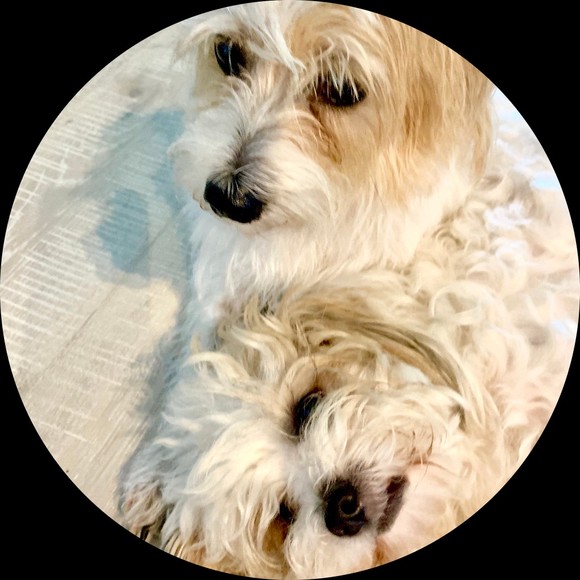 Profile Picture of Kate Bacon (@kasiao) on Poshmark