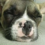 Christian Wrobel - Instagram Profile Picture of Christian Wrobel (@christian.wrobel.3) on Instagram