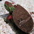 Profile Picture of Raphael Scalise (@cyberafi) on Pinterest