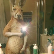 Profile Picture of Cesar Naranjo (@CesarNaranjo-h3w) on Youtube