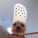 Profile Picture of Noel Sandoval Florido (@dannypeepp) on Instagram