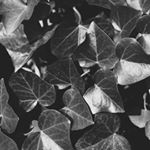 Profile Picture of Bruno  Rivera (@bruno_rivera.ph) on Instagram