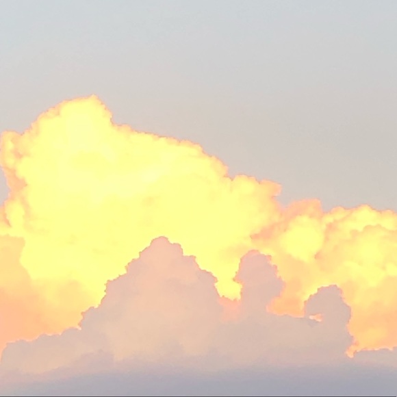 Profile Picture of Carly Richman (@crebeccar) on Poshmark