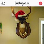 Profile Picture of Percythompson (@percythompson3704) on Instagram