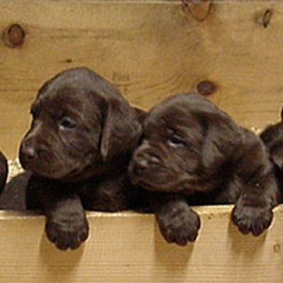 Profile Picture of Nancy Wilburn (@mrscasnave) on Twitter