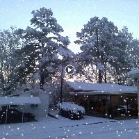 Profile Picture of Donna Moore (@donna-moore-65) on Quora